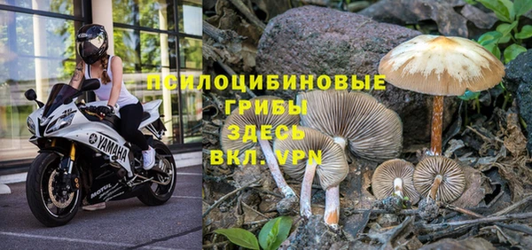 эйфоретик Алексеевка