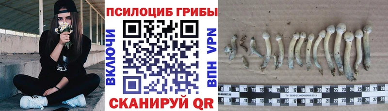 Галлюциногенные грибы мицелий  hydra сайт  Николаевск 