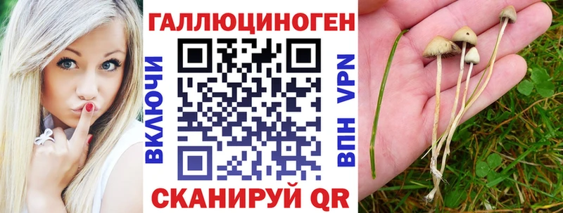 Галлюциногенные грибы MAGIC MUSHROOMS Николаевск